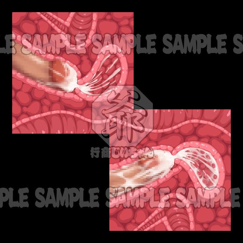 行商じいちゃんの便利素材 断面図・膣内射精