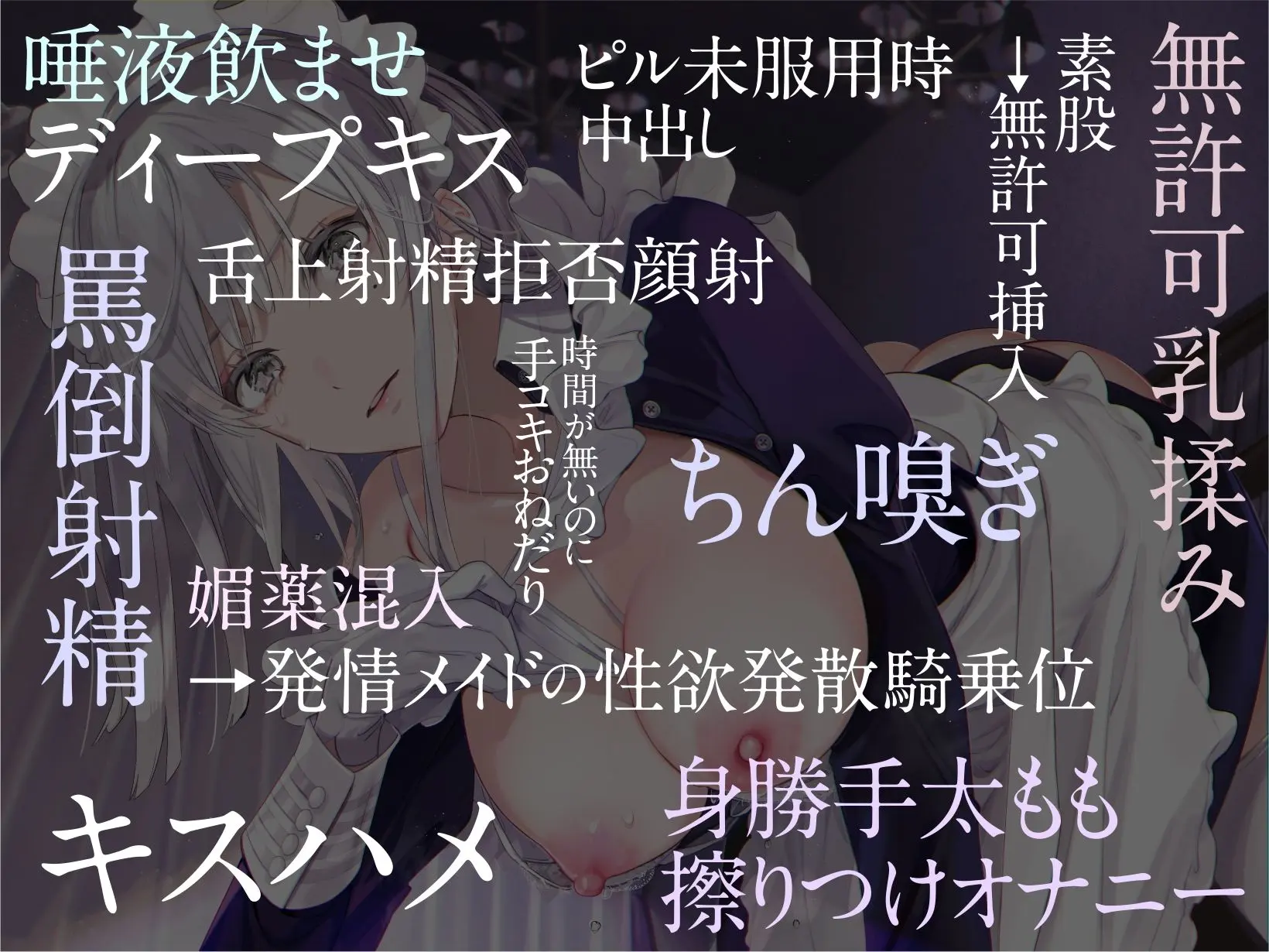 甘えた考えを持つゆとりマゾな僕を教育してくれる性処理専用事務的メイドを、それとなく不機嫌にさせてしまう毎日。