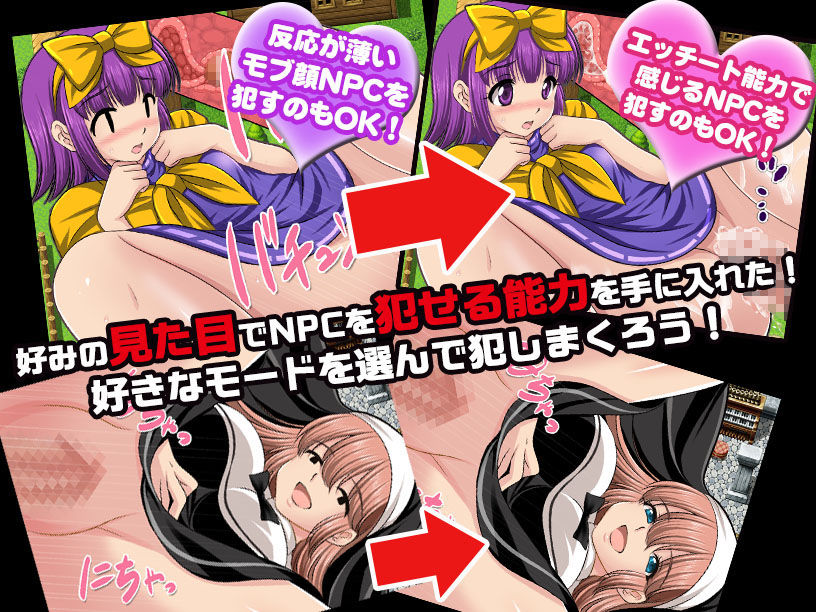 NPC姦〜無抵抗の美少女NPC達をヤリまくれ！〜