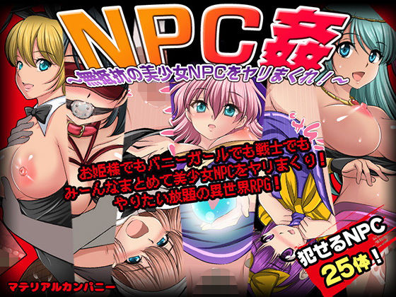 NPC姦〜無抵抗の美少女NPC達をヤリまくれ！〜