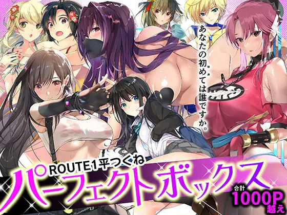 ROUTE1 平つくね パーフェクトボックス