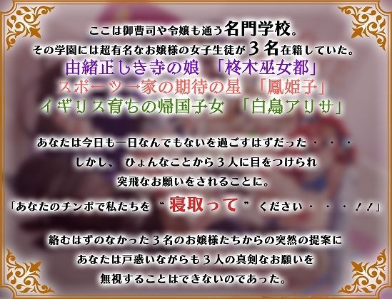 学園のご令嬢3人娘は婚約者と別れるために貴方の子どもを孕みたい【お願いNTR】