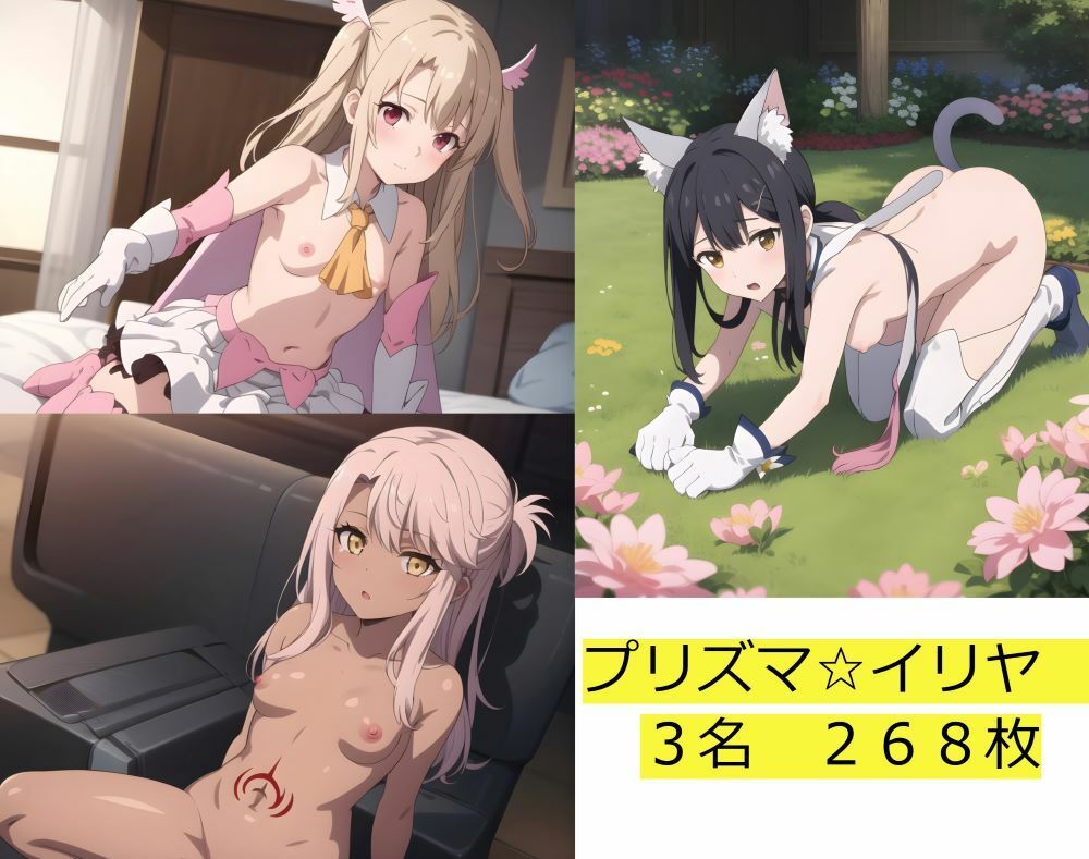 プリ〇マ☆イリヤ 268枚