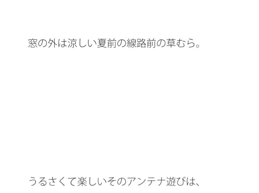 【無料】別の誰かが全く異なる角度から見ている・・・・