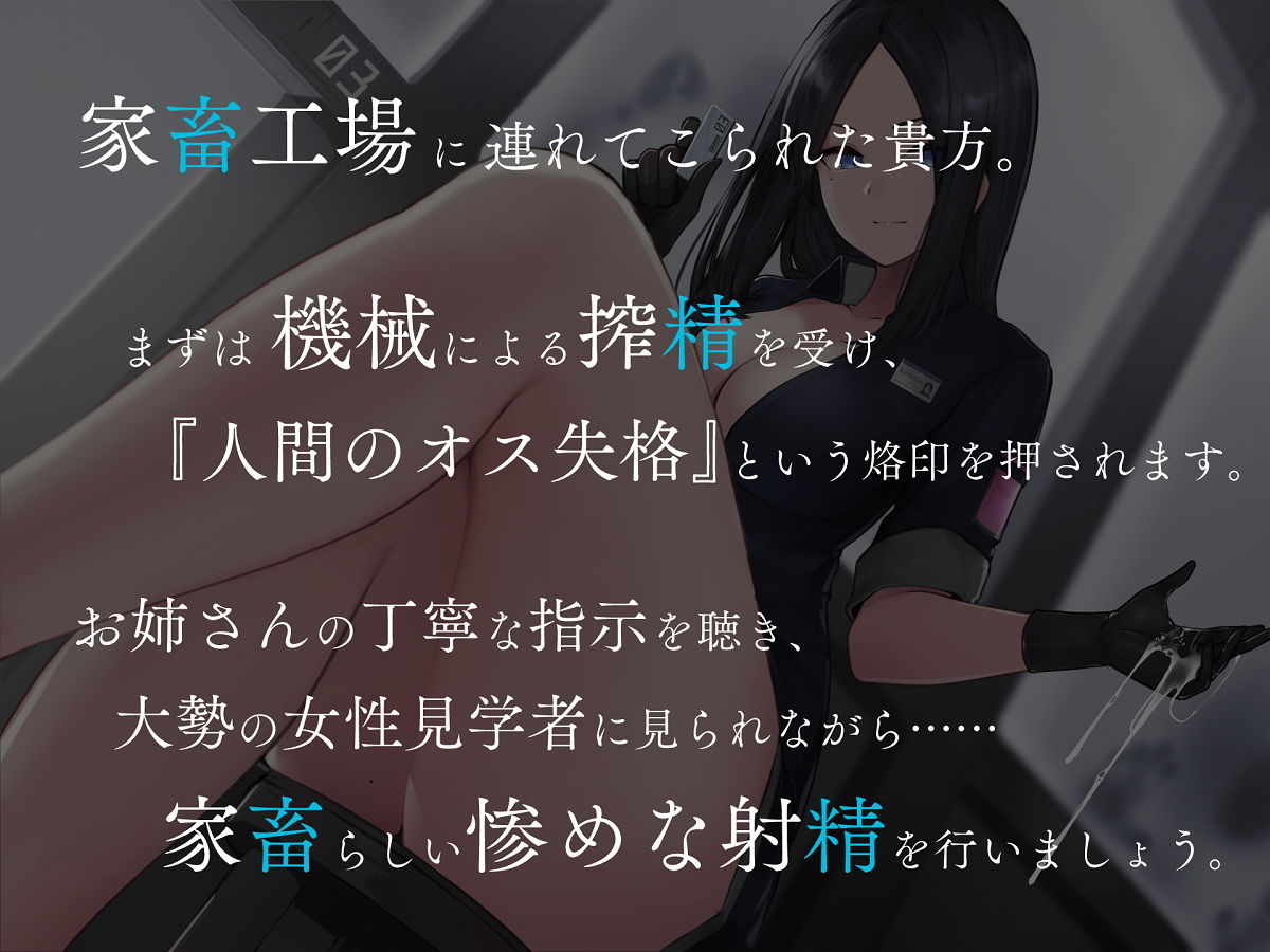 家畜射精3 お姉さんの丁寧語でイク工場見学会