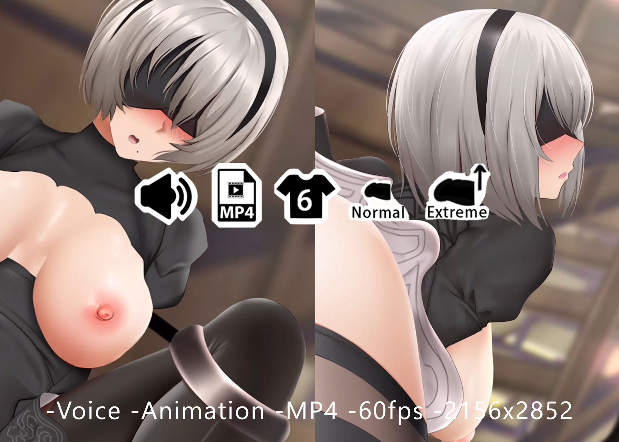 2B - 同人動画 （ぎんハハ）