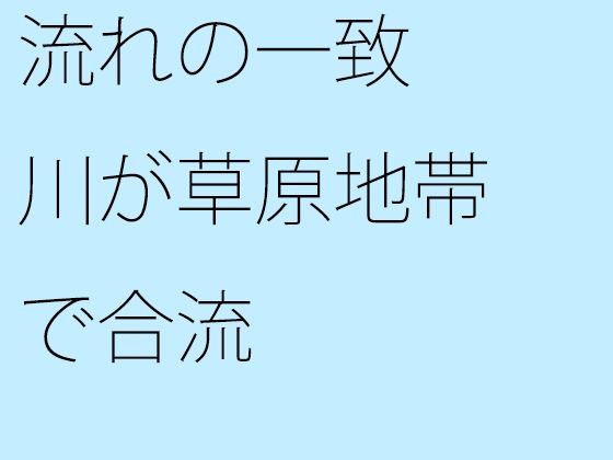 流れの一致 川が草原地帯で合流