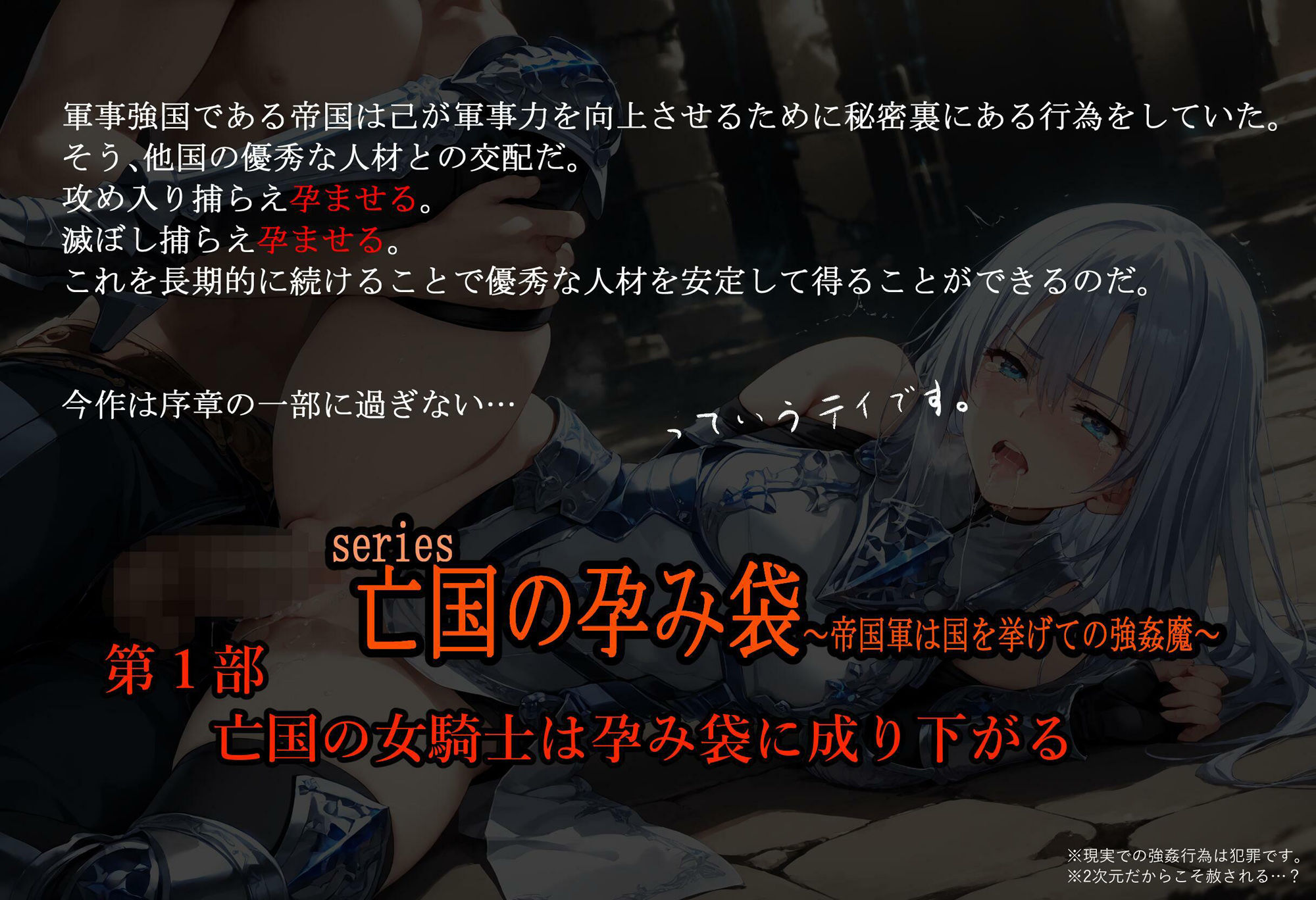 亡国の孕み袋 〜帝国軍は国を挙げての強●魔〜 第一部 亡国の女騎士は孕み袋に成り下がる