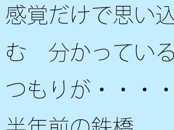 【無料】感覚だけで思い込む 分かっているつもりが・・・・半年前の鉄橋