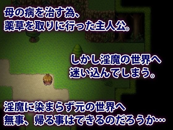 淫魔界に堕ちたボク