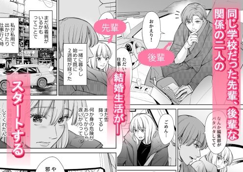 結局私は愛されてセックスがしたかったんだ2