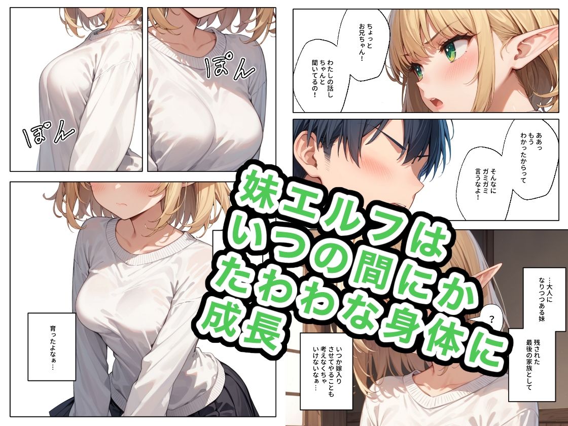 妹エルフは引きこもりたい