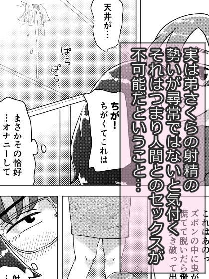 （弟への愛が）とってもおっきいお姉ちゃん〜ちょっとワケあり姉弟のラブラブえっちな話〜