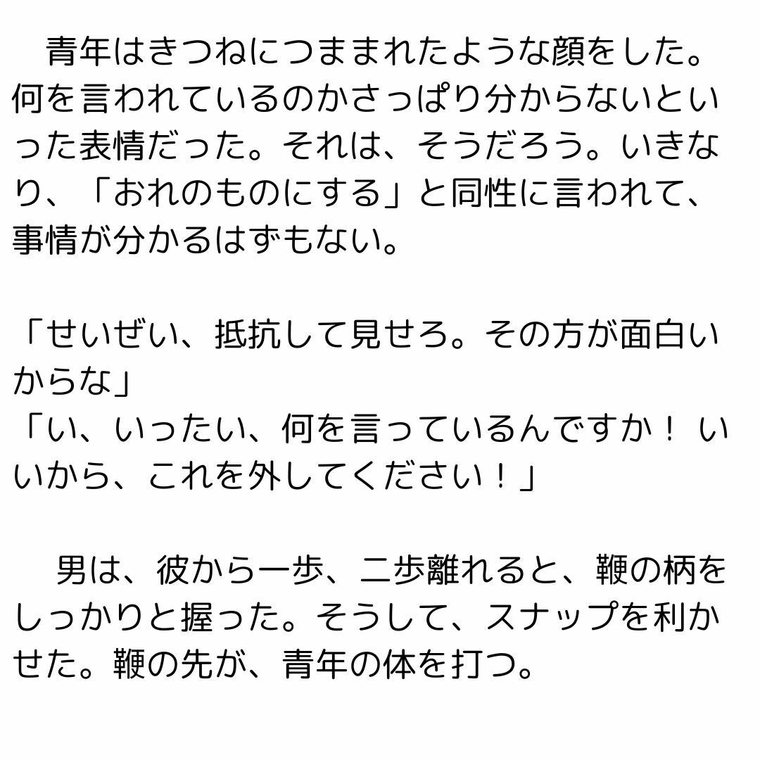 鞭と青年と奴●